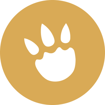 TripZilla.com Feature Mention